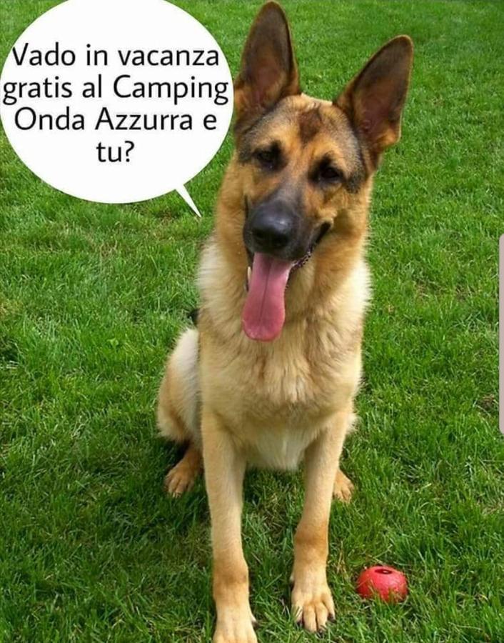מלון אורטונה Camping Onda Azzurra מראה חיצוני תמונה